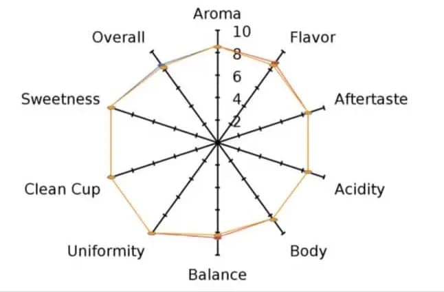 Official Cupping Evaluation Document